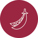 Leguminosas